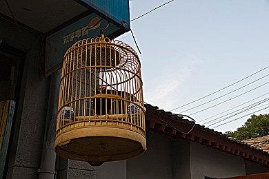 国外调查：《艾尔登法环》主线剧情平均需要46个小时